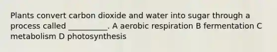 Plants convert carbon dioxide and water into sugar through a process called __________. A aerobic respiration B fermentation C metabolism D photosynthesis