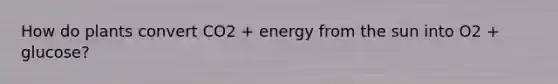 How do plants convert CO2 + energy from the sun into O2 + glucose?