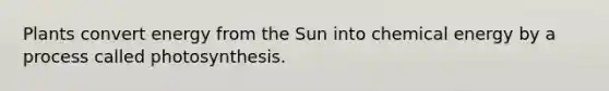 Plants convert energy from the Sun into chemical energy by a process called photosynthesis.