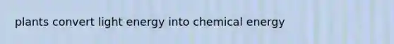 plants convert light energy into chemical energy