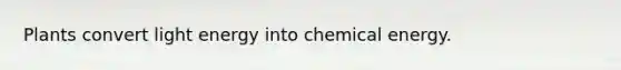 Plants convert light energy into chemical energy.