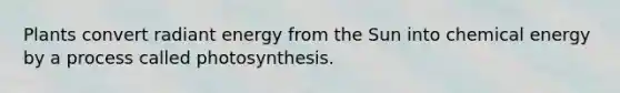 Plants convert radiant energy from the Sun into chemical energy by a process called photosynthesis.