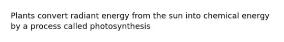 Plants convert radiant energy from the sun into chemical energy by a process called photosynthesis