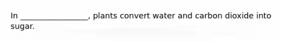 In _________________, plants convert water and carbon dioxide into sugar.