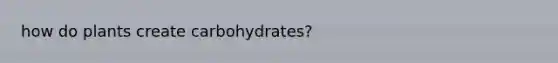 how do plants create carbohydrates?