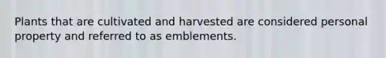 Plants that are cultivated and harvested are considered personal property and referred to as emblements.