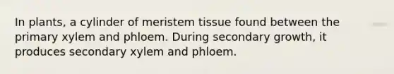 In plants, a cylinder of meristem tissue found between the primary xylem and phloem. During secondary growth, it produces secondary xylem and phloem.