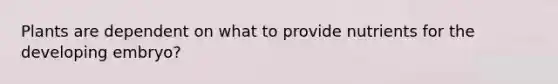 Plants are dependent on what to provide nutrients for the developing embryo?