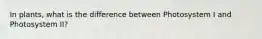 In plants, what is the difference between Photosystem I and Photosystem II?