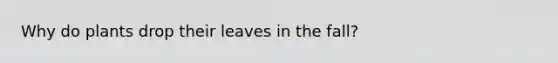 Why do plants drop their leaves in the fall?