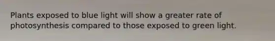 Plants exposed to blue light will show a greater rate of photosynthesis compared to those exposed to green light.