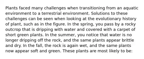 Plants faced many challenges when transitioning from an aquatic environment to a terrestrial environment. Solutions to these challenges can be seen when looking at the evolutionary history of plant, such as in the figure. In the spring, you pass by a rocky outcrop that is dripping with water and covered with a carpet of short green plants. In the summer, you notice that water is no longer dripping off the rock, and the same plants appear brittle and dry. In the fall, the rock is again wet, and the same plants now appear soft and green. These plants are most likely to be: