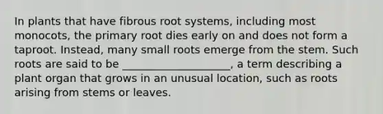 In plants that have fibrous root systems, including most monocots, the primary root dies early on and does not form a taproot. Instead, many small roots emerge from the stem. Such roots are said to be ____________________, a term describing a plant organ that grows in an unusual location, such as roots arising from stems or leaves.