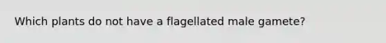 Which plants do not have a flagellated male gamete?