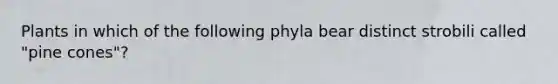 Plants in which of the following phyla bear distinct strobili called "pine cones"?