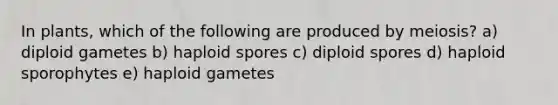 In plants, which of the following are produced by meiosis? a) diploid gametes b) haploid spores c) diploid spores d) haploid sporophytes e) haploid gametes