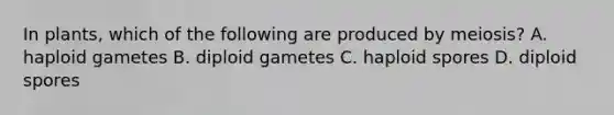 In plants, which of the following are produced by meiosis? A. haploid gametes B. diploid gametes C. haploid spores D. diploid spores