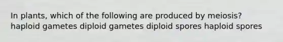 In plants, which of the following are produced by meiosis? haploid gametes diploid gametes diploid spores haploid spores