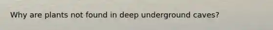 Why are plants not found in deep underground caves?