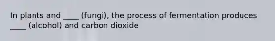 In plants and ____ (fungi), the process of fermentation produces ____ (alcohol) and carbon dioxide