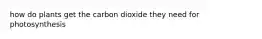 how do plants get the carbon dioxide they need for photosynthesis