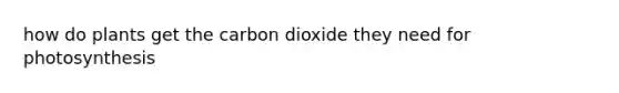 how do plants get the carbon dioxide they need for photosynthesis