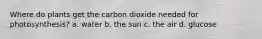 Where do plants get the carbon dioxide needed for photosynthesis? a. water b. the sun c. the air d. glucose