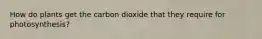 How do plants get the carbon dioxide that they require for photosynthesis?