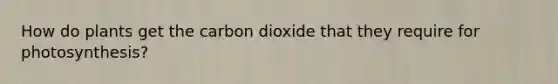 How do plants get the carbon dioxide that they require for photosynthesis?