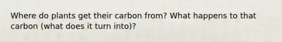 Where do plants get their carbon from? What happens to that carbon (what does it turn into)?