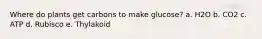 Where do plants get carbons to make glucose? a. H2O b. CO2 c. ATP d. Rubisco e. Thylakoid