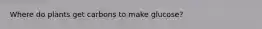 Where do plants get carbons to make glucose?