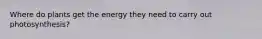 Where do plants get the energy they need to carry out photosynthesis?