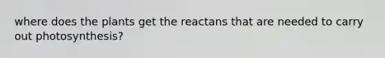 where does the plants get the reactans that are needed to carry out photosynthesis?