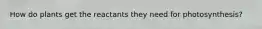 How do plants get the reactants they need for photosynthesis?