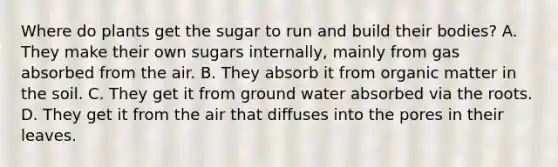 Where do plants get the sugar to run and build their bodies? A. They make their own sugars internally, mainly from gas absorbed from the air. B. They absorb it from organic matter in the soil. C. They get it from ground water absorbed via the roots. D. They get it from the air that diffuses into the pores in their leaves.