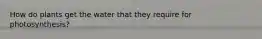 How do plants get the water that they require for photosynthesis?