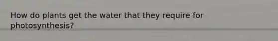 How do plants get the water that they require for photosynthesis?