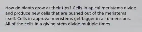 How do plants grow at their tips? Cells in apical meristems divide and produce new cells that are pushed out of the meristems itself. Cells in approval meristems get bigger in all dimensions. All of the cells in a giving stem divide multiple times.