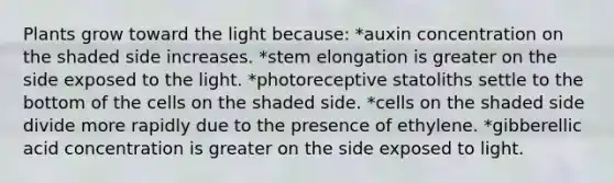 Plants grow toward the light because: *auxin concentration on the shaded side increases. *stem elongation is greater on the side exposed to the light. *photoreceptive statoliths settle to the bottom of the cells on the shaded side. *cells on the shaded side divide more rapidly due to the presence of ethylene. *gibberellic acid concentration is greater on the side exposed to light.