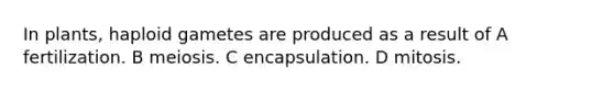 In plants, haploid gametes are produced as a result of A fertilization. B meiosis. C encapsulation. D mitosis.