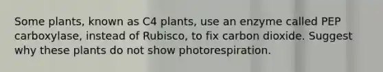 Some plants, known as C4 plants, use an enzyme called PEP carboxylase, instead of Rubisco, to fix carbon dioxide. Suggest why these plants do not show photorespiration.