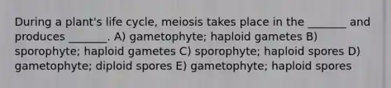 During a plant's life cycle, meiosis takes place in the _______ and produces _______. A) gametophyte; haploid gametes B) sporophyte; haploid gametes C) sporophyte; haploid spores D) gametophyte; diploid spores E) gametophyte; haploid spores