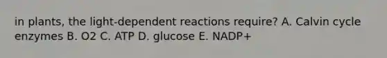 in plants, the light-dependent reactions require? A. Calvin cycle enzymes B. O2 C. ATP D. glucose E. NADP+