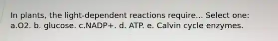 In plants, the light-dependent reactions require... Select one: a.O2. b. glucose. c.NADP+. d. ATP. e. Calvin cycle enzymes.