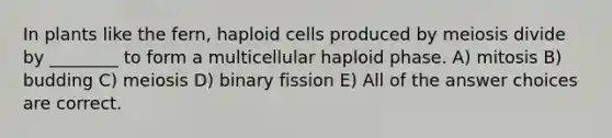 In plants like the fern, haploid cells produced by meiosis divide by ________ to form a multicellular haploid phase. A) mitosis B) budding C) meiosis D) binary fission E) All of the answer choices are correct.