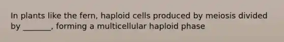 In plants like the fern, haploid cells produced by meiosis divided by _______, forming a multicellular haploid phase