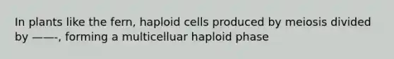 In plants like the fern, haploid cells produced by meiosis divided by ——-, forming a multicelluar haploid phase