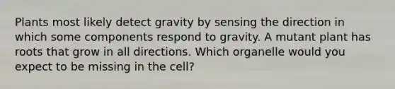 Plants most likely detect gravity by sensing the direction in which some components respond to gravity. A mutant plant has roots that grow in all directions. Which organelle would you expect to be missing in the cell?