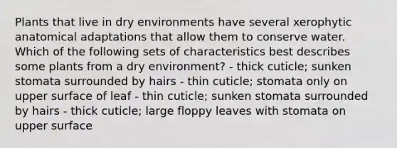 Plants that live in dry environments have several xerophytic anatomical adaptations that allow them to conserve water. Which of the following sets of characteristics best describes some plants from a dry environment? - thick cuticle; sunken stomata surrounded by hairs - thin cuticle; stomata only on upper surface of leaf - thin cuticle; sunken stomata surrounded by hairs - thick cuticle; large floppy leaves with stomata on upper surface